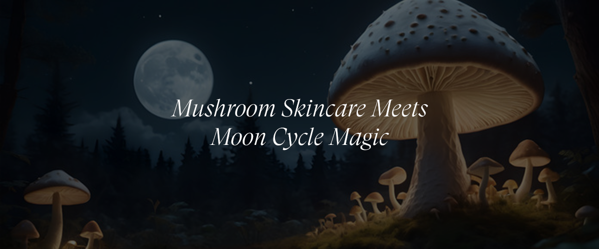 Mushrooms and Moon Cycles: Crafting a Lunar-Based Skincare Routine