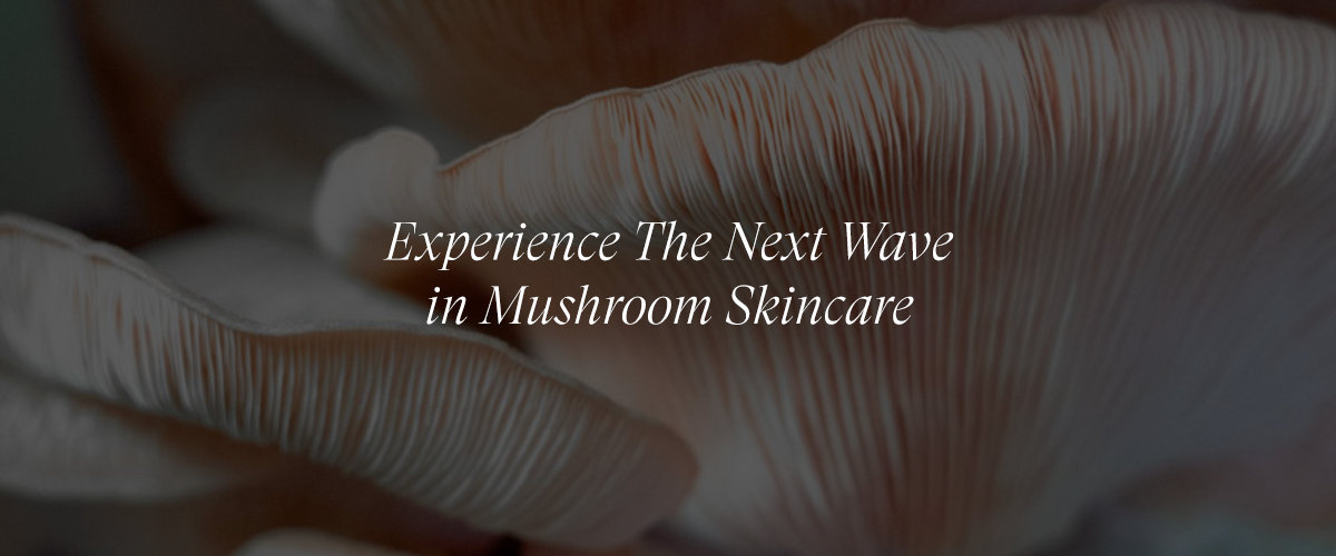 Fungal Futurism: Predicting the Next Wave of Mushroom-Based Skincare Innovations