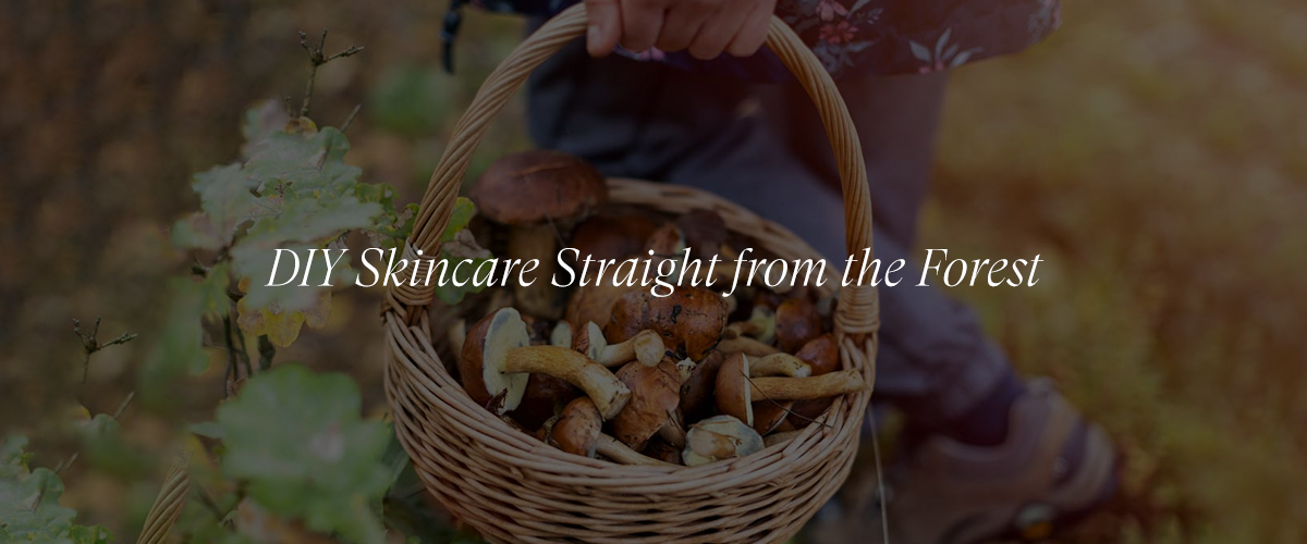 Mushroom Foraging and DIY Skincare: From Forest to Face