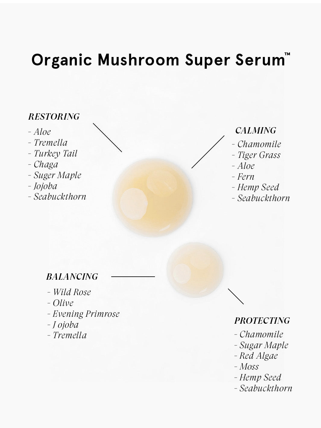 Organic Mushroom Super Serum